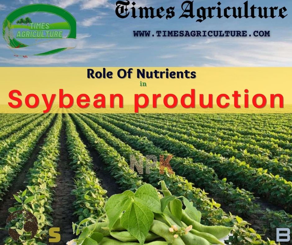 role-of-nutrients-in-soybean-production-times-agriculture