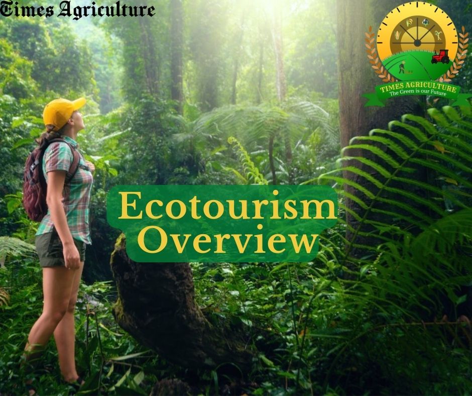 eco tourism definition