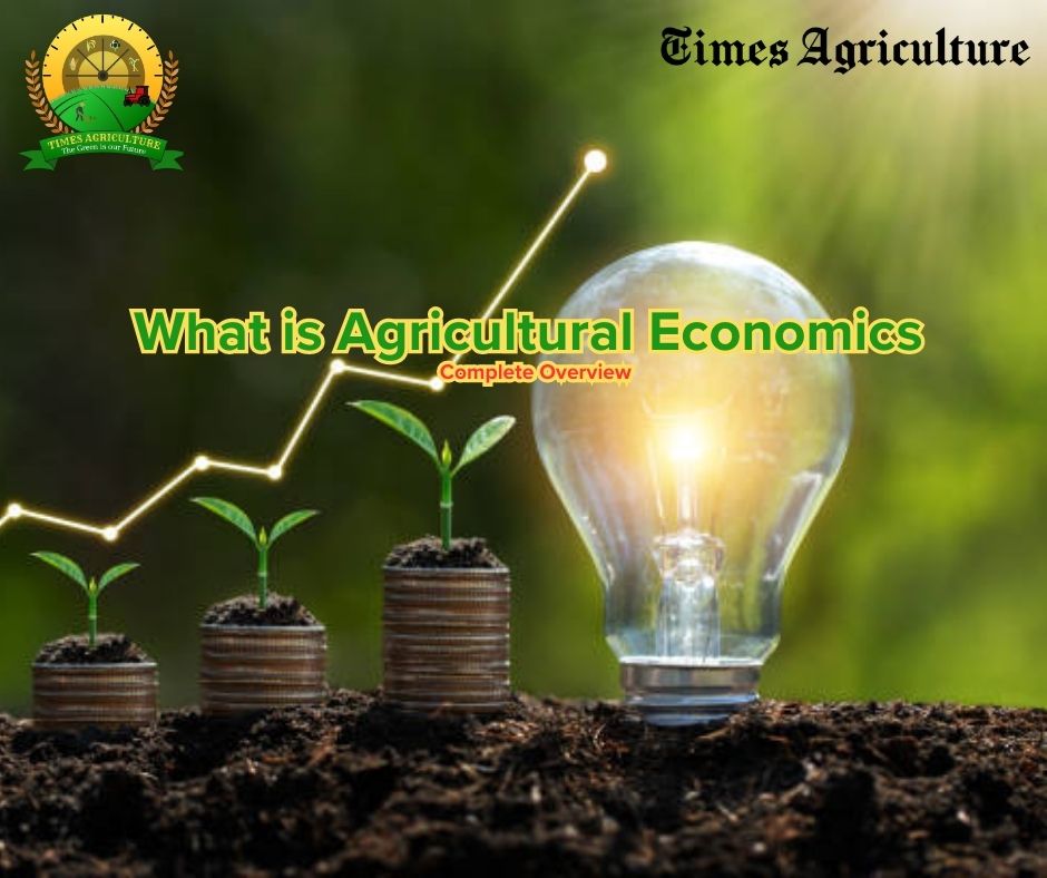 What is Agricultural Economics Complete Overview