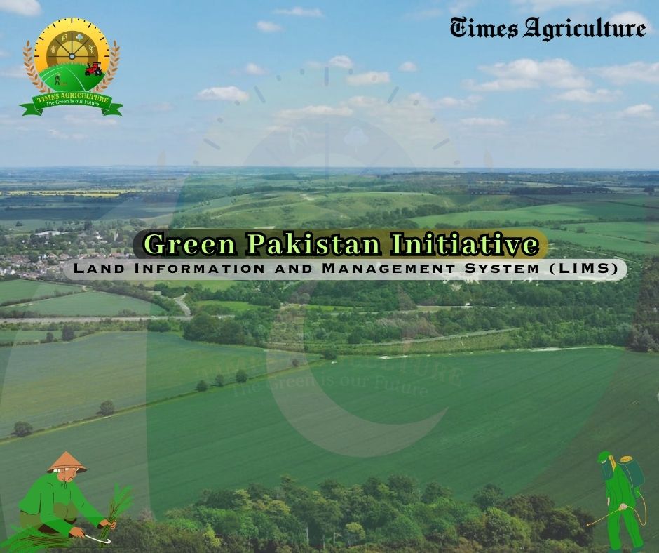 Land Information and Management System (LIMS)