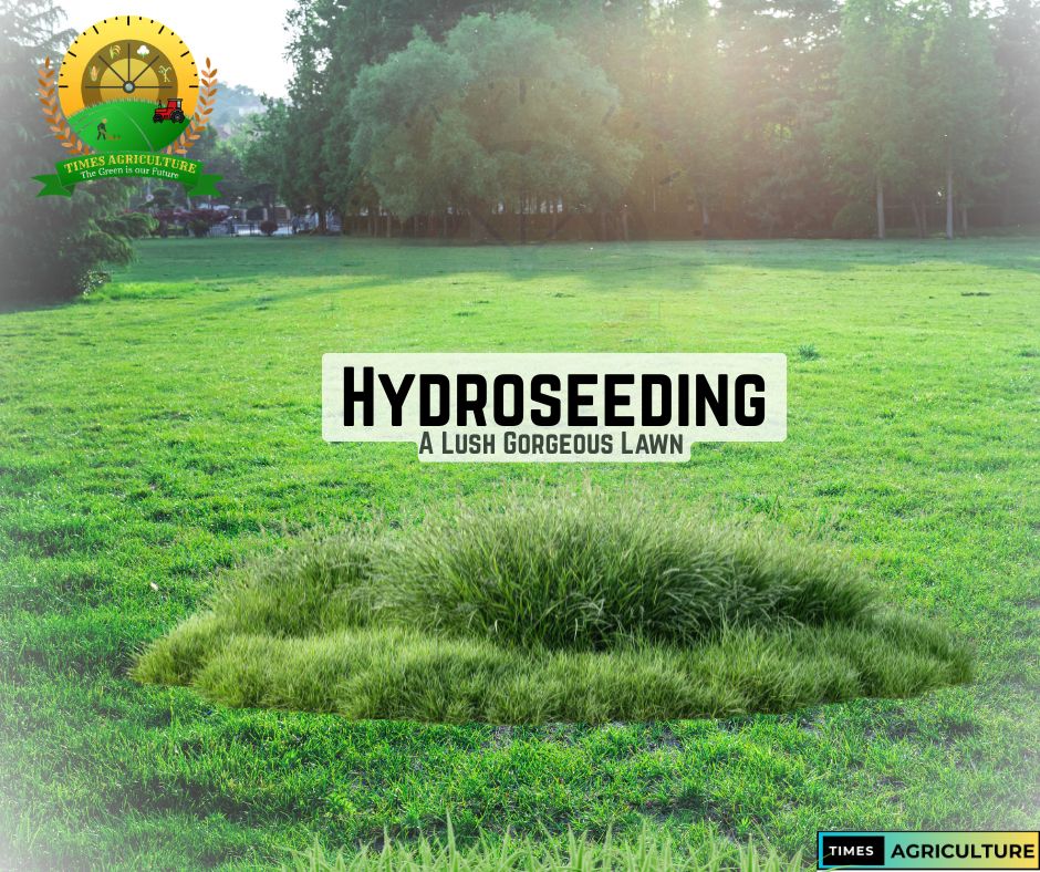 Hydroseeding: A Lush Lawn for Less - Times Agriculture
